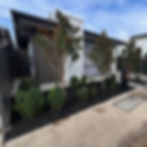 Front Yard Tidy