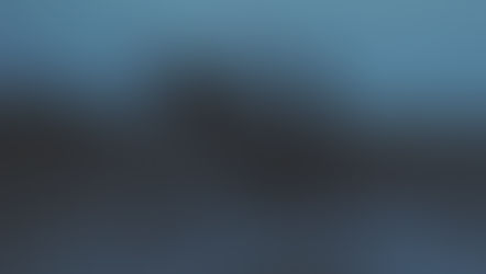 "KROU GROU KRUUU"... les grues sont arrivées !