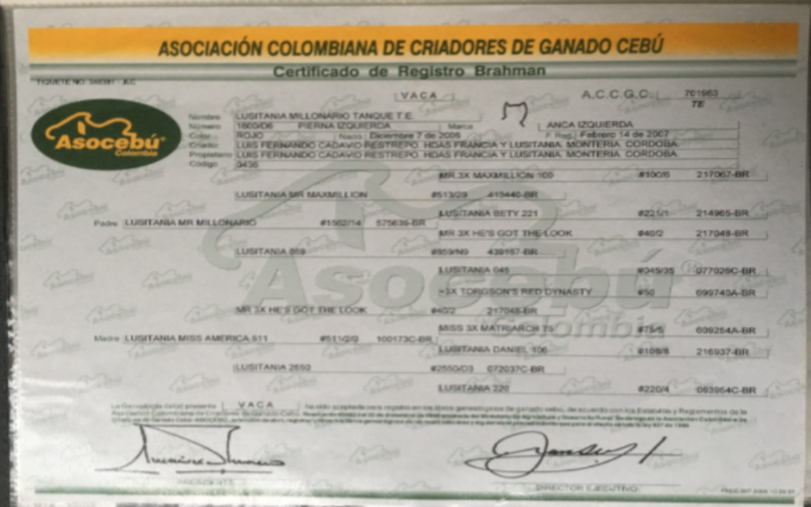 LUSITANIA MILLONARIO TANQUE