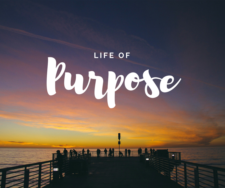 What is my Purpose in Life?