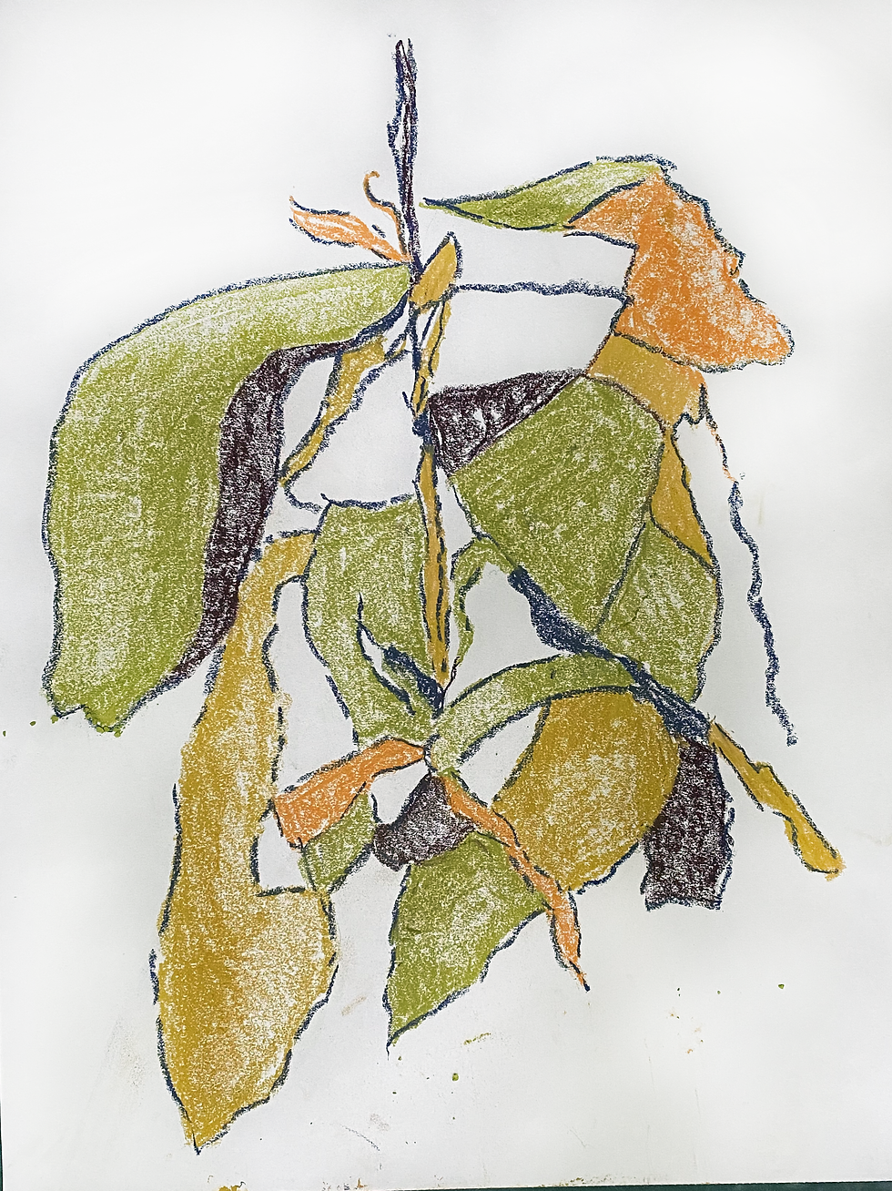 Soft Pastel Drawing