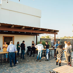 Golden hour patio setting with groups of young creative natural wine lovers gathering and enjoying each other's company.