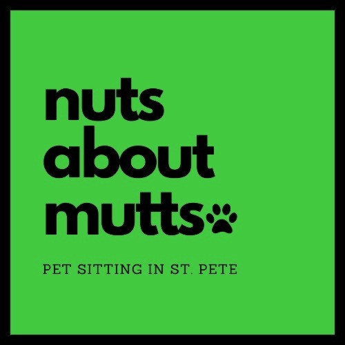Home Nuts About Mutts Pet Sitting Boarding Doggy Daycare Walks