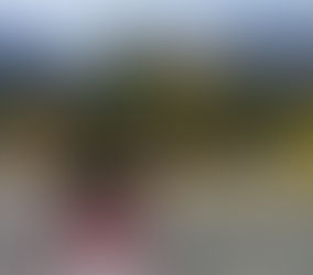 Lake Matheson, Fox Glacier 