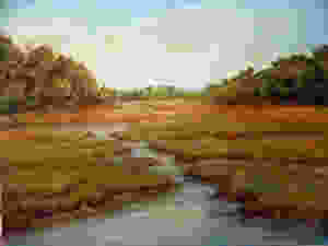 Everglades2