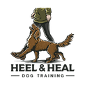 Colour logo transparent.png