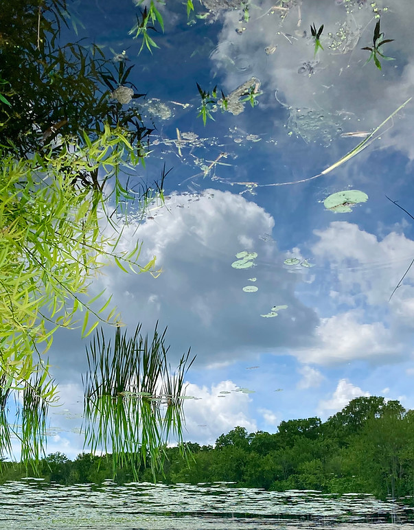 topsy-turvey, Ann Lee Pond