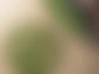 Cucina senza glutine