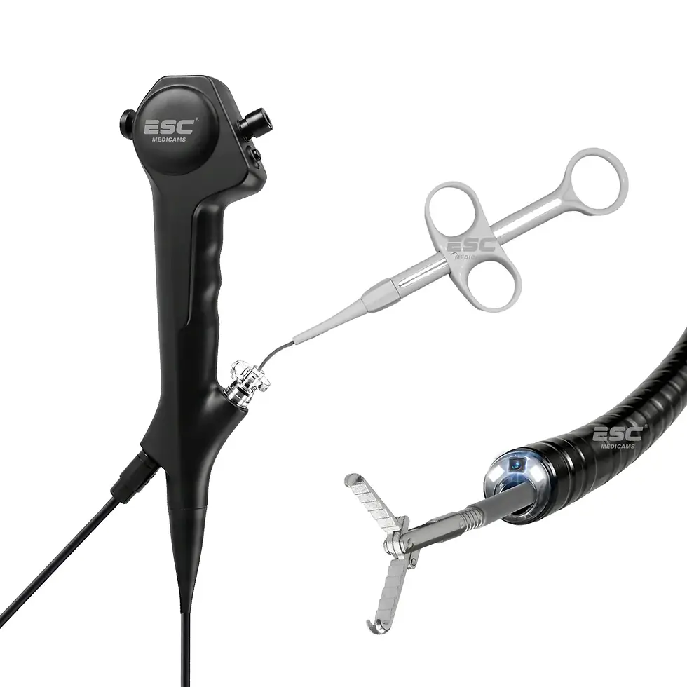 Miniature : working channel Flexible Ureteroscope