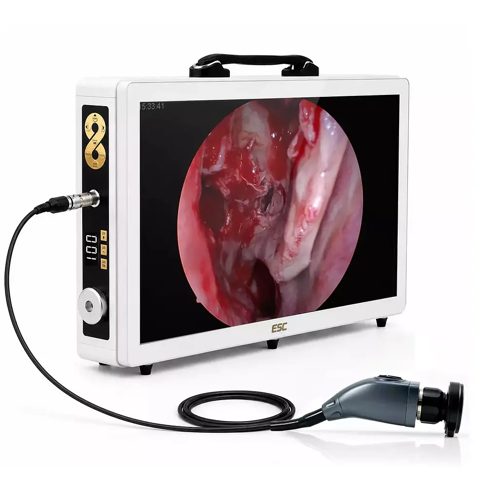Portable Endoscopy Camera 3-in-1 with Monitor and Light
