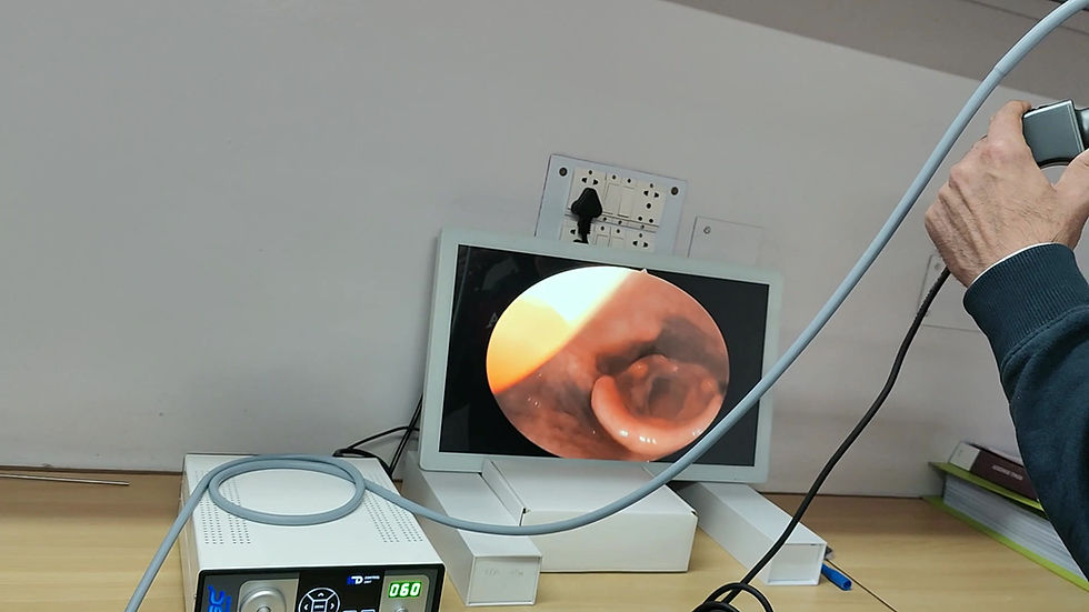 Miniatura: Portable endoscopy camera for Ent with light source combo