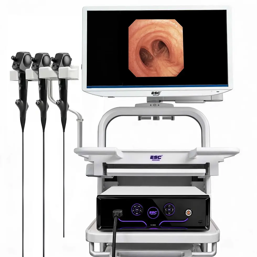 Endoscopy Video Processor for Flexible Endoscopes