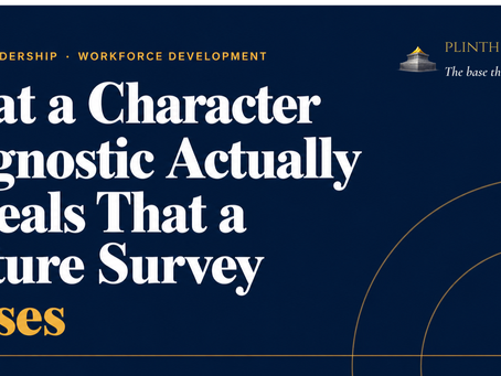 What a Professional Character Diagnostic Actually Reveals That a Culture Survey Misses