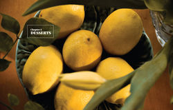 LandWhere lemons grow -4