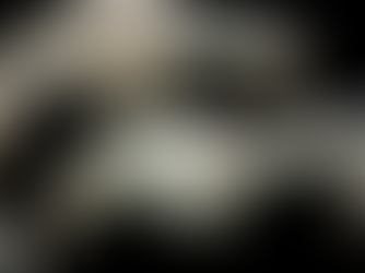 モンゴル・ゴビ砂漠で“世界最大級の恐竜の爪”が発見!