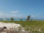 Ilet Caret