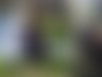 Children enjoying an inclusive playground, featuring a slide and a sensory walk, promoting accessibility and engagement for all abilities.