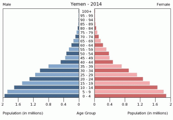 Here is the age structure of Yemen.  Most very poor and conflict-plagued sites look like this.  The women usually have few rights, no contraception, and suffer a high level of violence.  Their powerless, which manifests in super high fertility rates, feeds the cycle of poverty and violence, which then further emphasize this bottom-heavy pyramid by killing people off too    in young adulthood.  It's not a good trade-off.  So don't even think about some Handmaid's Tale solution.  