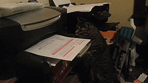printercat2.gif