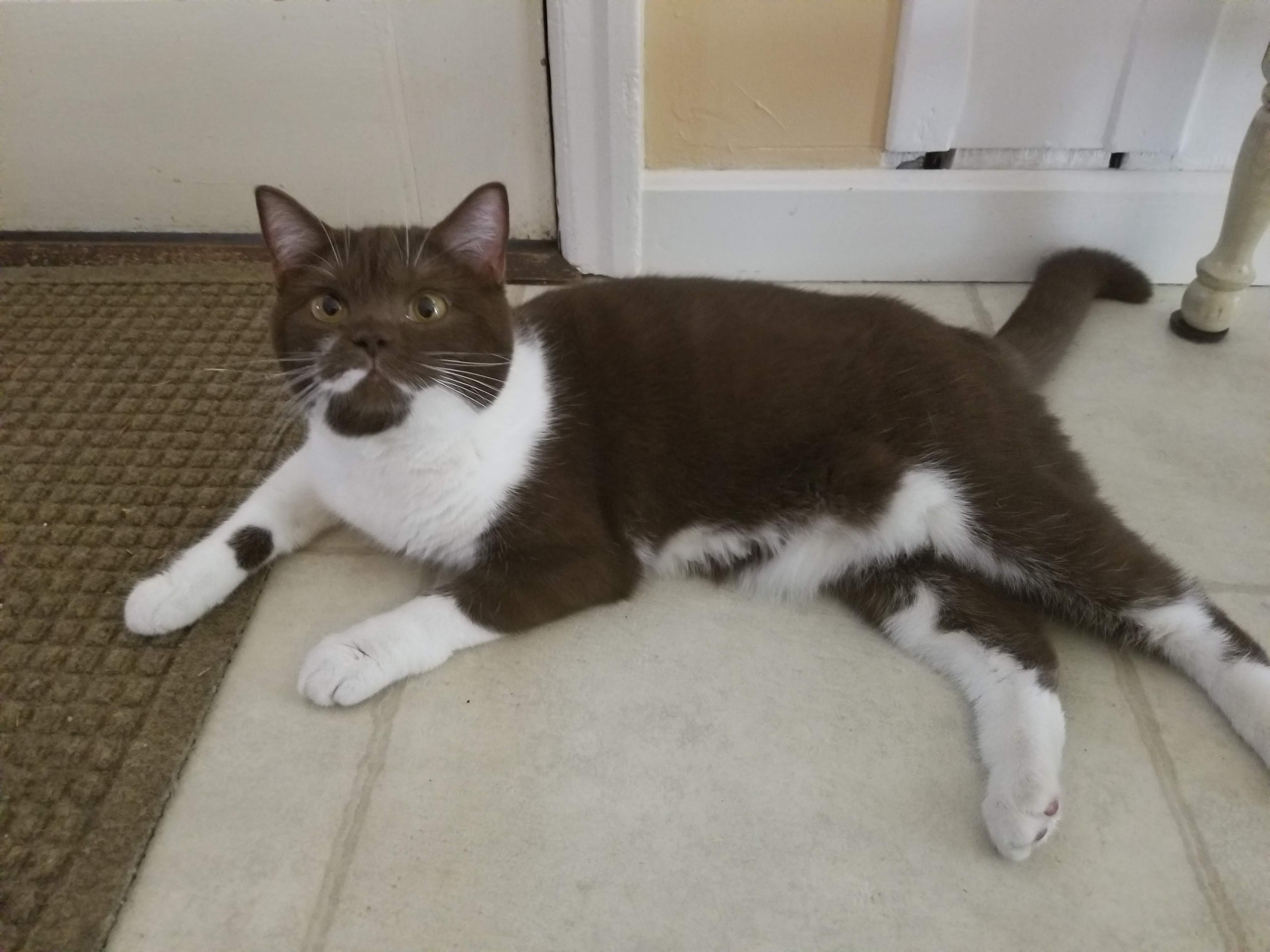 Cinnamon