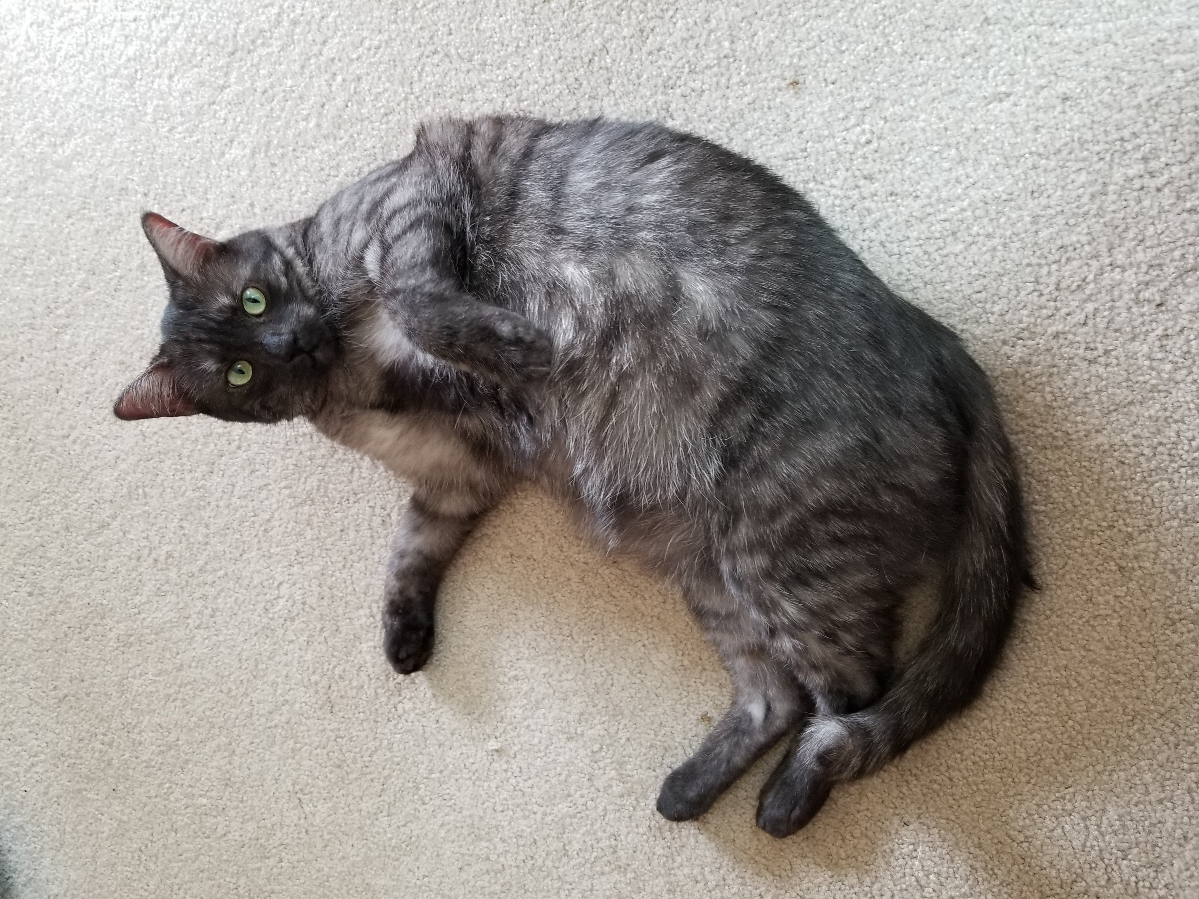 Franklin