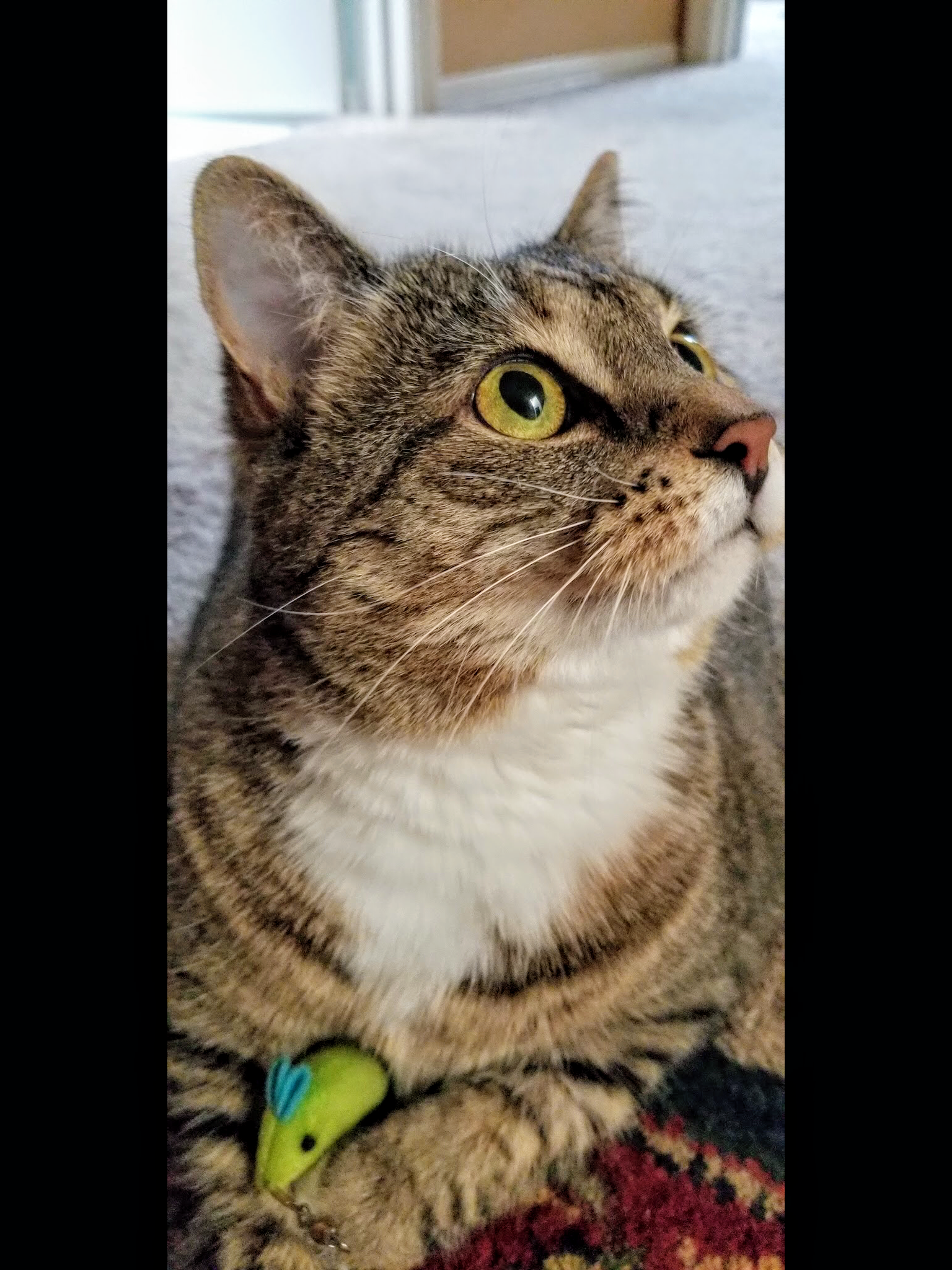 Abby