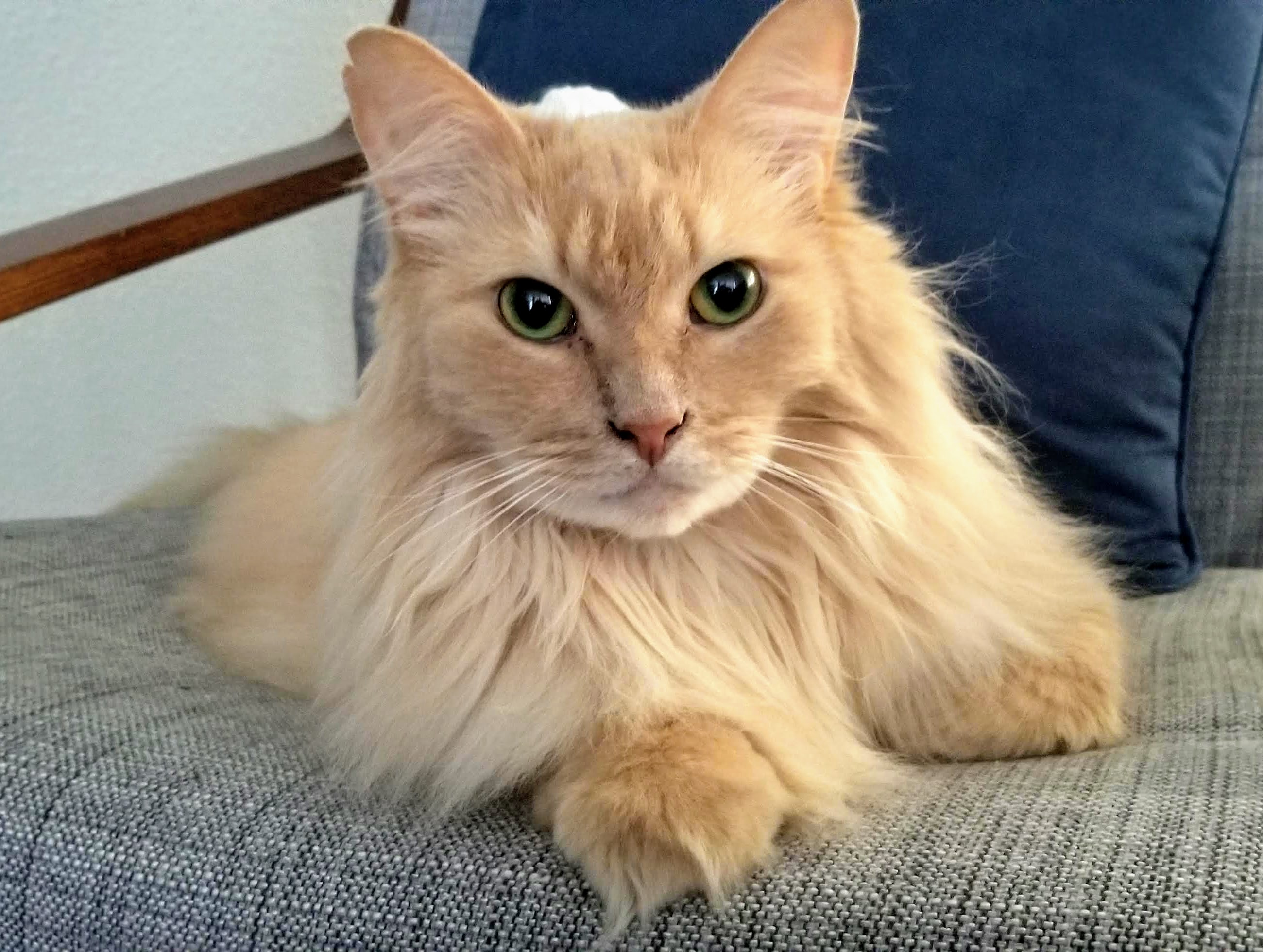 Milo