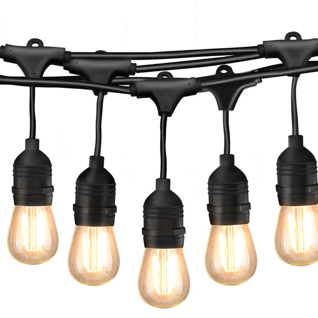 Edison String Lights