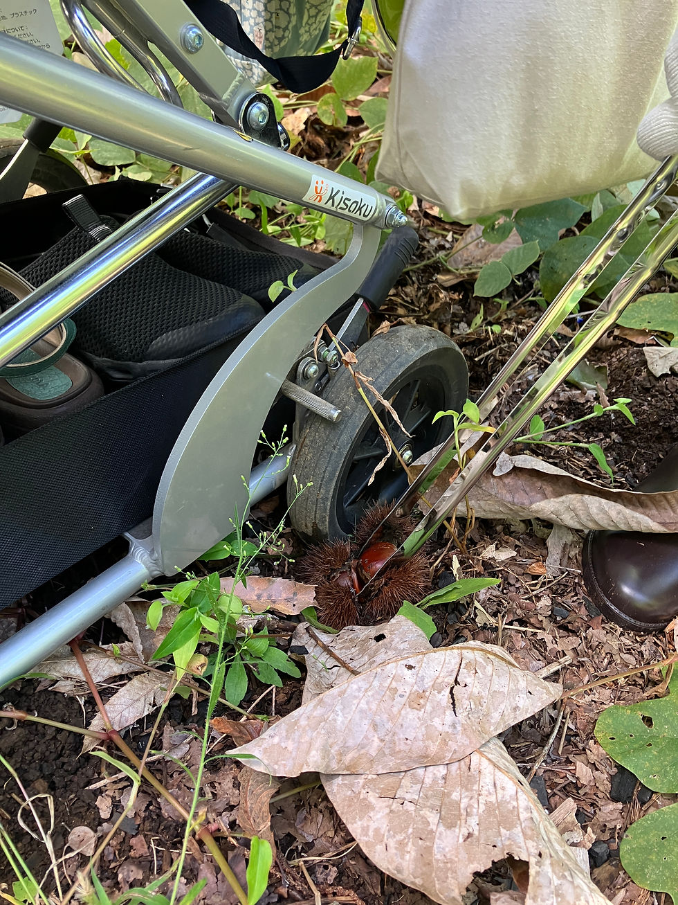 これは納得のすご技!