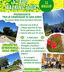 Avis Walking Tour 31 maggio.jpg