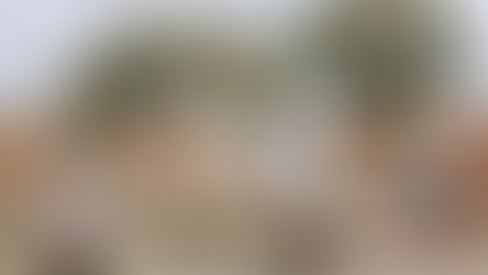 Parkview Financial x Habitat LA