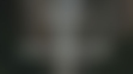 Parkview Financial: Mid-Year Recap 2021