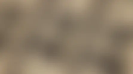 Bisnow: Financial Modeling With Untrended Rents Protects The Bottom Line. But At What Cost?