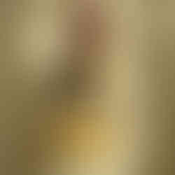 Carlo AMEN, Narbonne