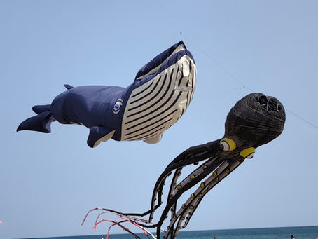 Ce week-end, le ciel de Narbonne-Plage s'est transformé en immense toile colorée avec l'événement international de cerf-volant "NATUR'AILES"