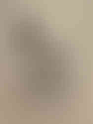 Le Jardin des humains, Philippe Katerine