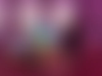 Exposition "Narbonne is beautiful" par l'artiste Mr Brainwash