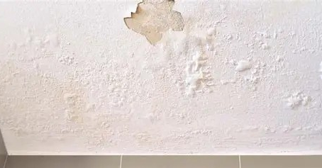 Réparer un dégât des eaux : étapes et solutions d'un artisan peintre