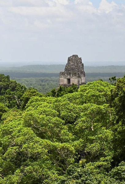 guatemala-maya-biosphere.jpg