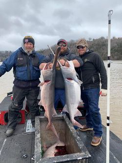 124818012_186722976277945_27608160191179