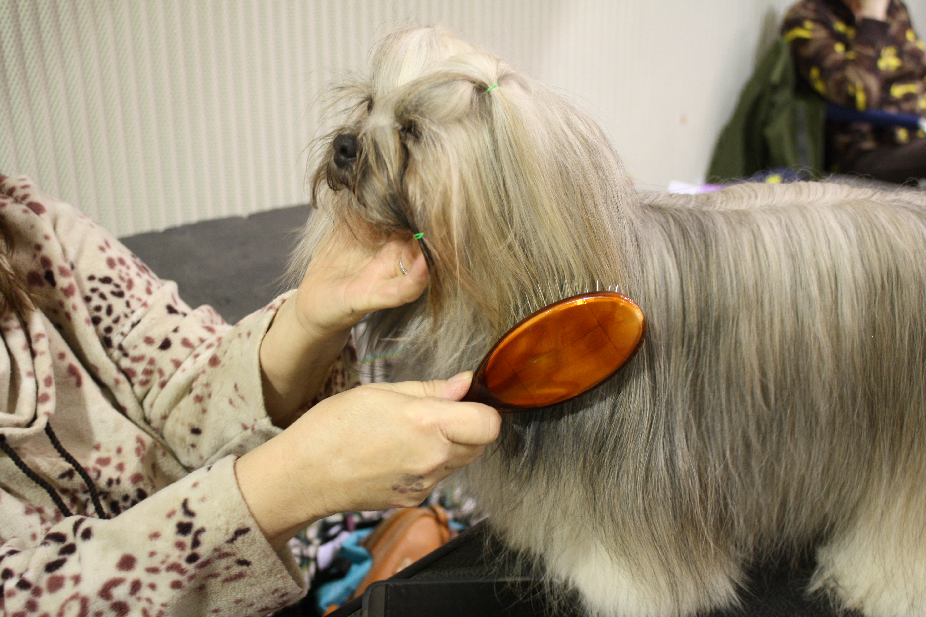 Grooming