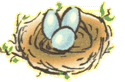 Asset 11_2x.png