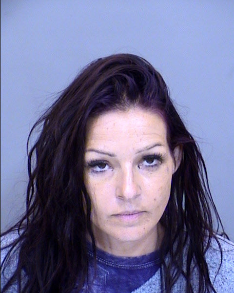 Jill Boyles Mugshot