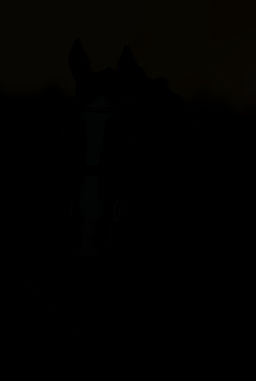 darrapää-12 (2)_edited.jpg