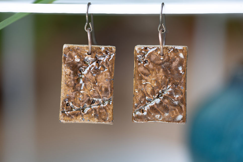 Thumbnail: Ceramic Earrings