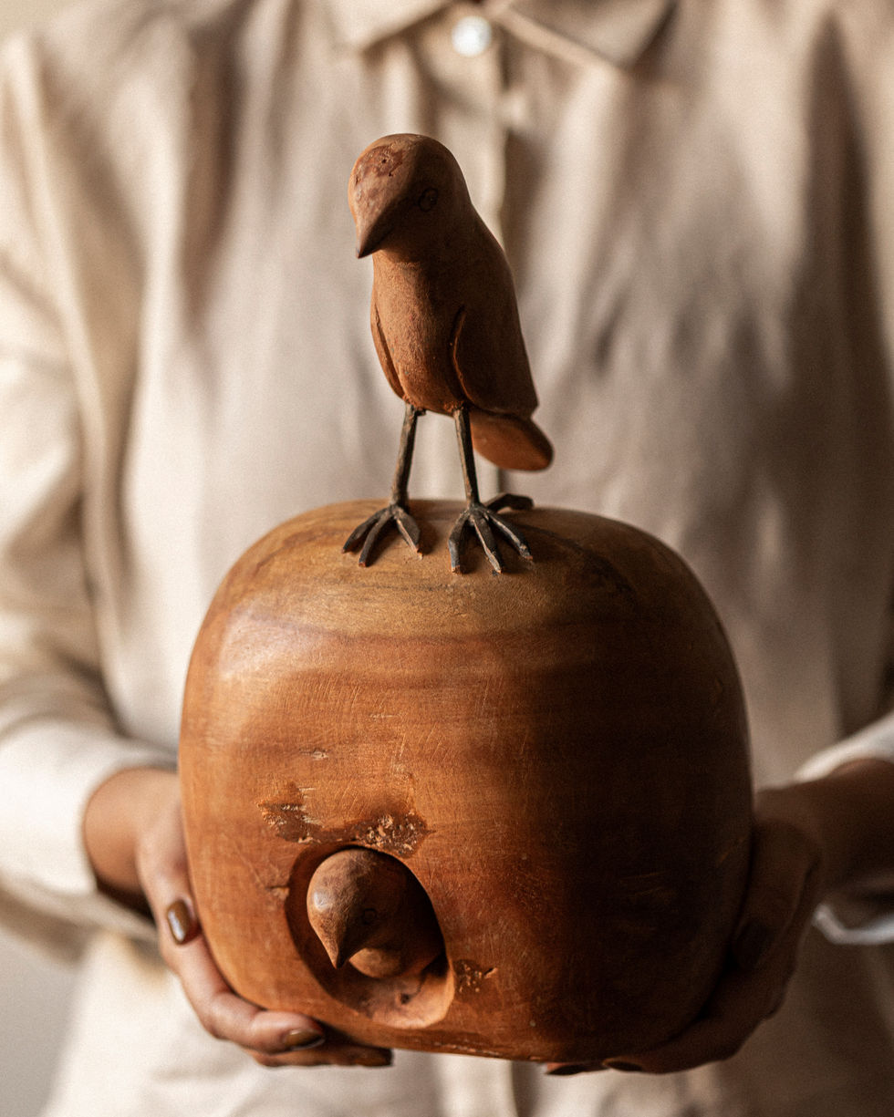 0003-2025 guariroba expedição vale-0131