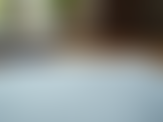 Consejos Legales para Nuevos Emprendedores