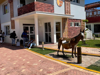 La Casa del Cafe Varadero - New store on Calle 63 (new Boulevard Varadero section)