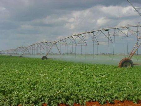 De Cuba - Irrigation des champs