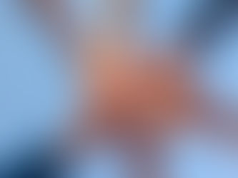 ContiamoCi!: il supporto concreto